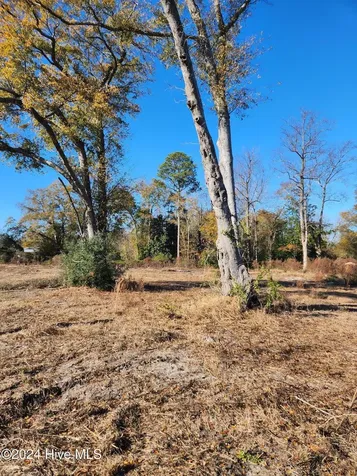 E1107 Eleven Farms Road Salemburg NC 28385