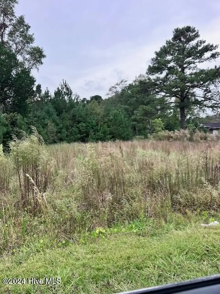 00 Kellumtown Road Hubert NC 28539