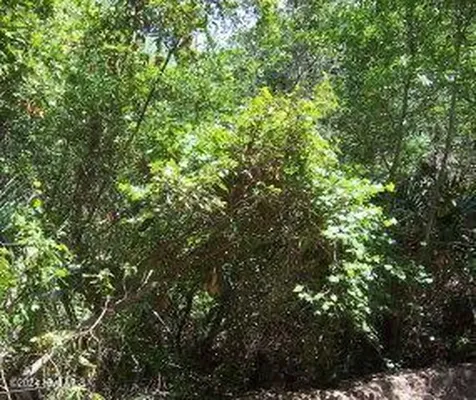 126 Edward Teach Bald Head Island NC 28461