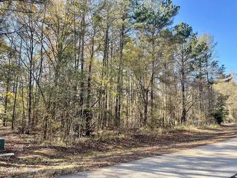 153 Vista Lane Rockingham NC 28379