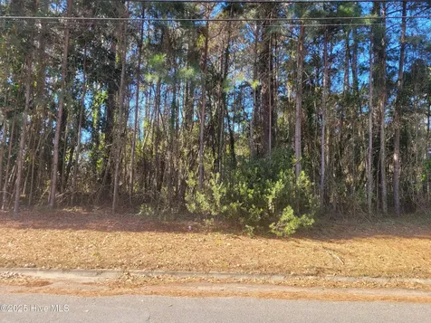 2808 Brookhaven Drive Kinston NC 28504
