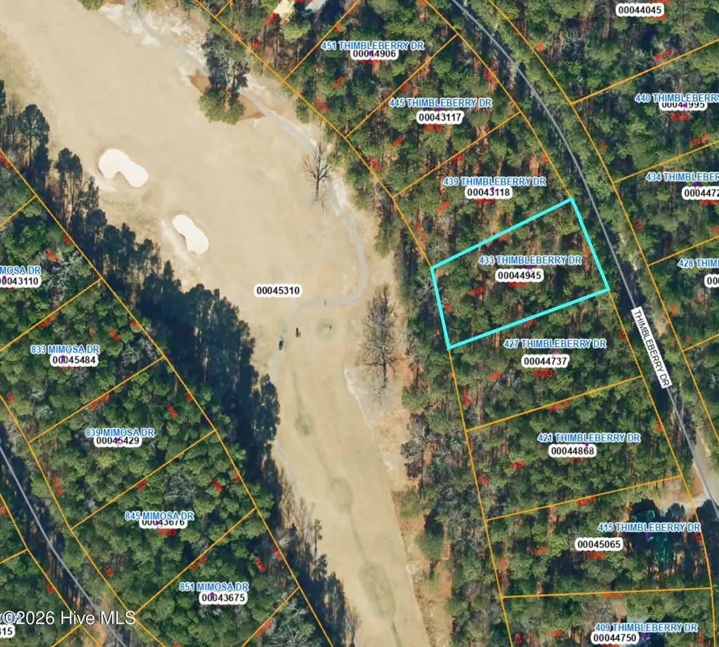 433 Thimbleberry Drive Vass NC 28394