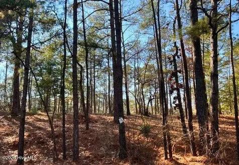 433 Thimbleberry Drive Vass NC 28394