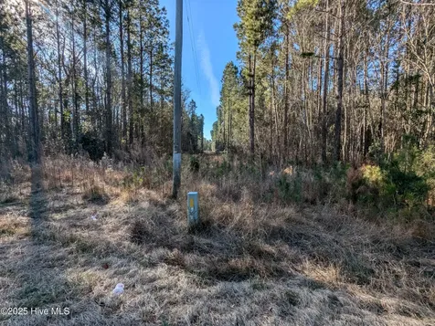 26688 Nc-210 Kelly NC 28448