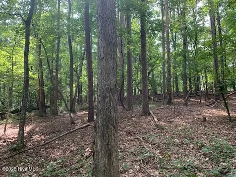 54 Palomino Road Carthage NC 28327