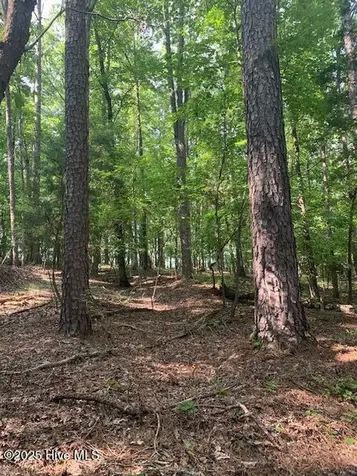54 Palomino Road Carthage NC 28327