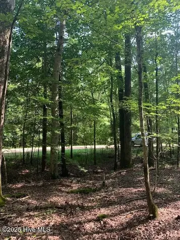 54 Palomino Road Carthage NC 28327