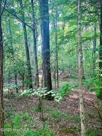 54 Palomino Road Carthage NC 28327