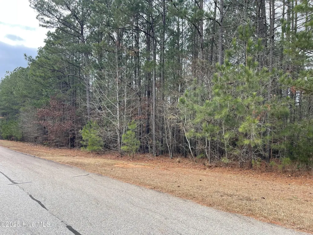 000 N State Lane Rockingham NC 28379