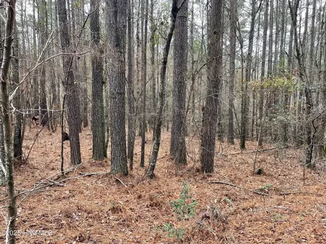000 N State Lane Rockingham NC 28379
