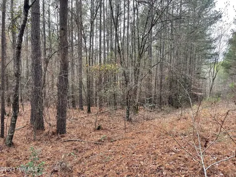 000 N State Lane Rockingham NC 28379