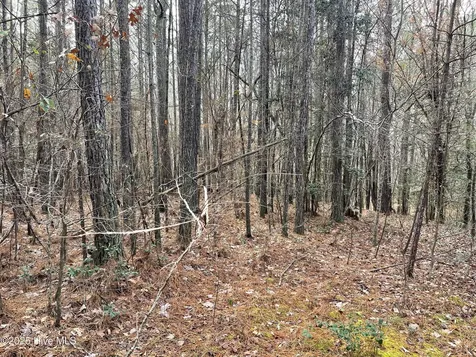 000 N State Lane Rockingham NC 28379