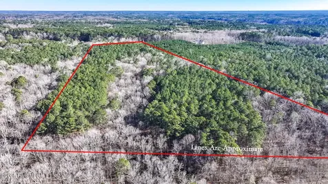 Off J B Morgan Road Apex NC 27523