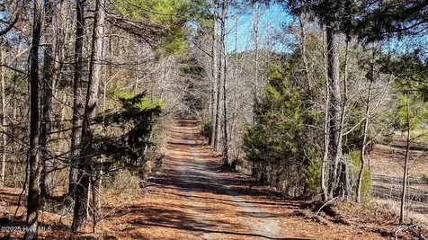 Off J B Morgan Road Apex NC 27523