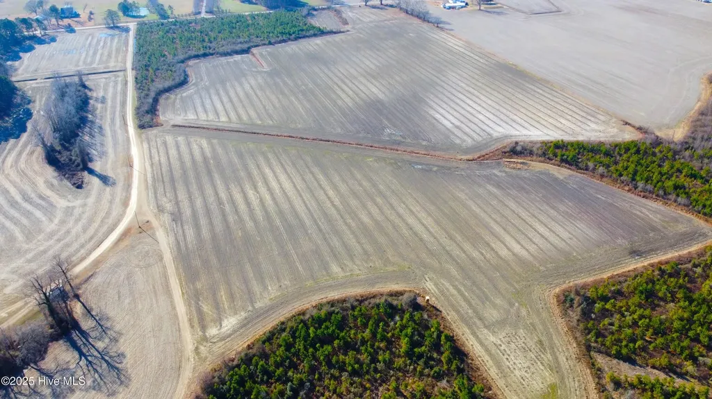 313 Stallings Road Macclesfield NC 27852