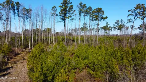 313 Stallings Road Macclesfield NC 27852