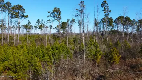 313 Stallings Road Macclesfield NC 27852