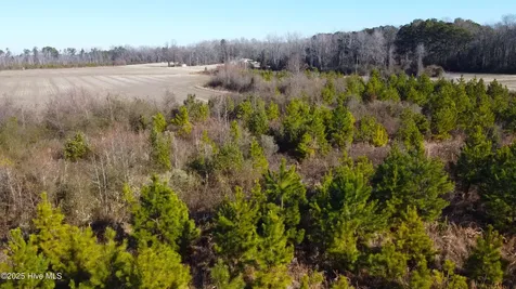 313 Stallings Road Macclesfield NC 27852