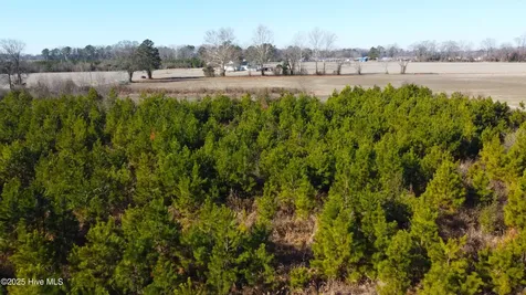 313 Stallings Road Macclesfield NC 27852