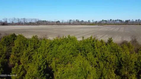 313 Stallings Road Macclesfield NC 27852