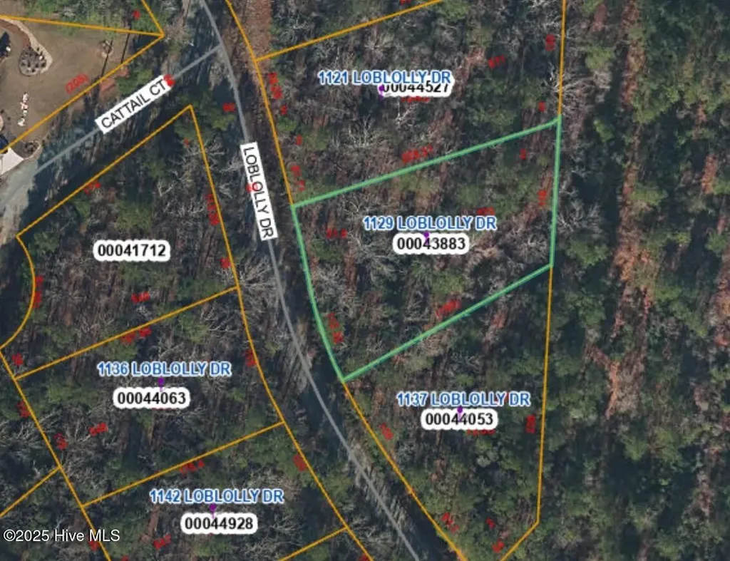 1129 Loblolly Drive Vass NC 28394