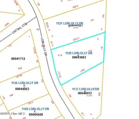 1129 Loblolly Drive Vass NC 28394