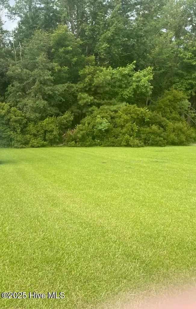 Near 702 Conway Road Fair Bluff NC 28439