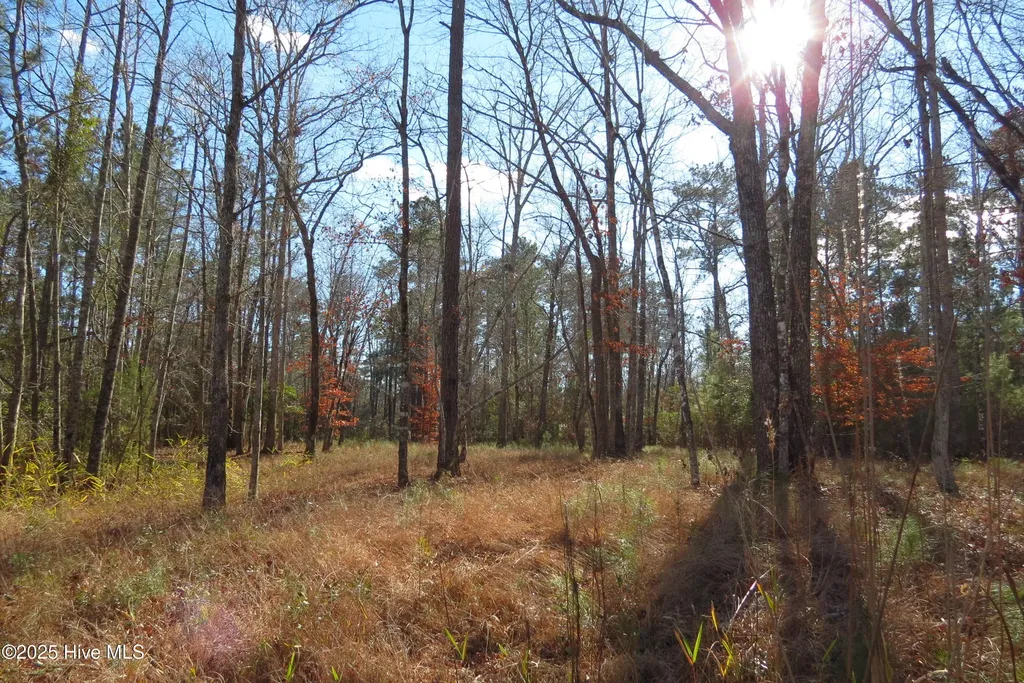 109 Winding Creek Drive Oriental NC 28571