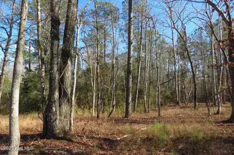 109 Winding Creek Drive Oriental NC 28571