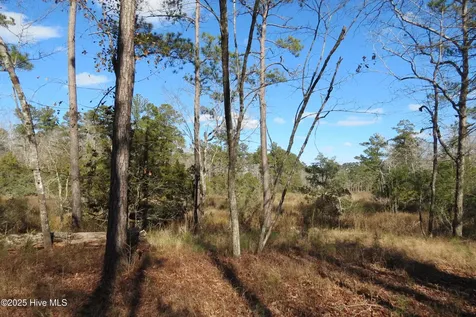 109 Winding Creek Drive Oriental NC 28571