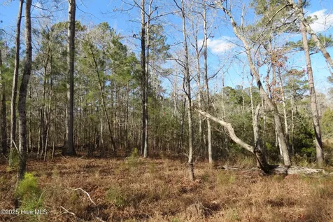 109 Winding Creek Drive Oriental NC 28571