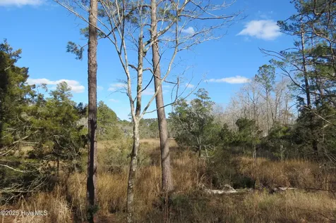 109 Winding Creek Drive Oriental NC 28571