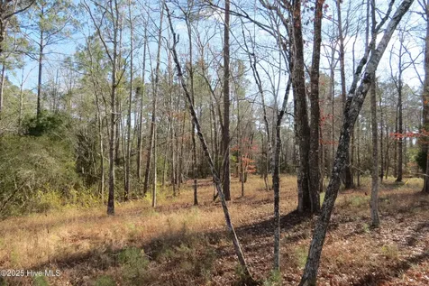 109 Winding Creek Drive Oriental NC 28571