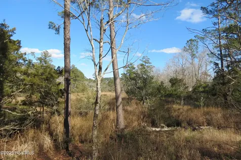 109 Winding Creek Drive Oriental NC 28571