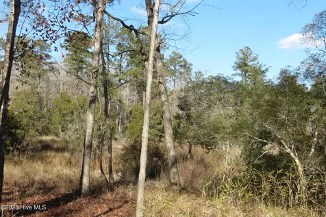 109 Winding Creek Drive Oriental NC 28571