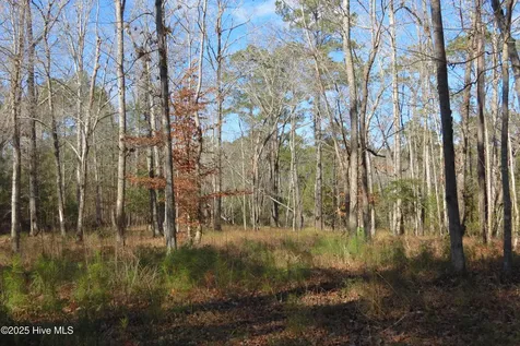 109 Winding Creek Drive Oriental NC 28571