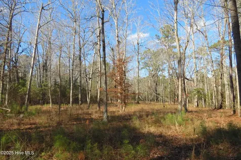 109 Winding Creek Drive Oriental NC 28571