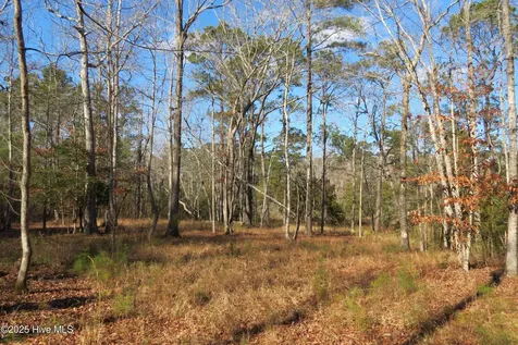 109 Winding Creek Drive Oriental NC 28571