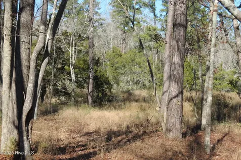 109 Winding Creek Drive Oriental NC 28571