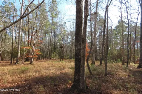 109 Winding Creek Drive Oriental NC 28571