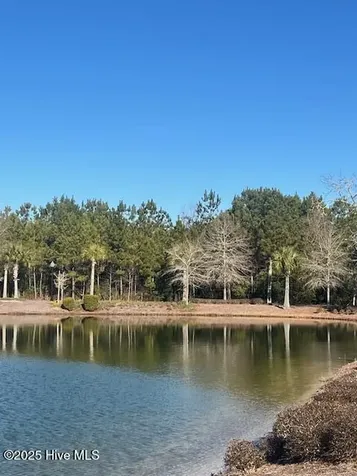 3075 Brackenbury Street SW Shallotte NC 28470