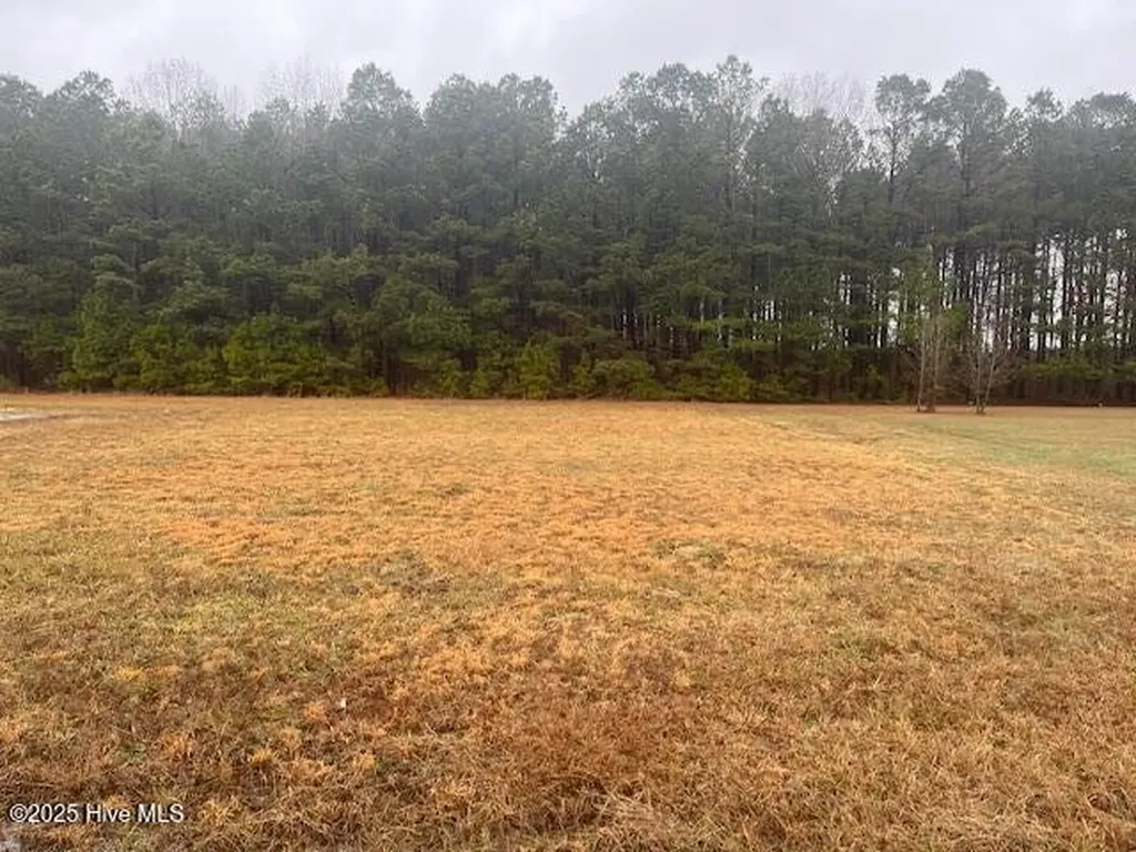0000 Hillside Drive Rich Square NC 27869