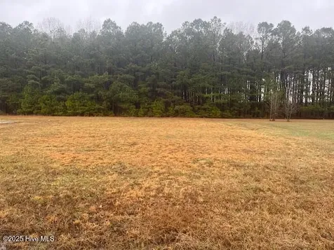 0000 Hillside Drive Rich Square NC 27869