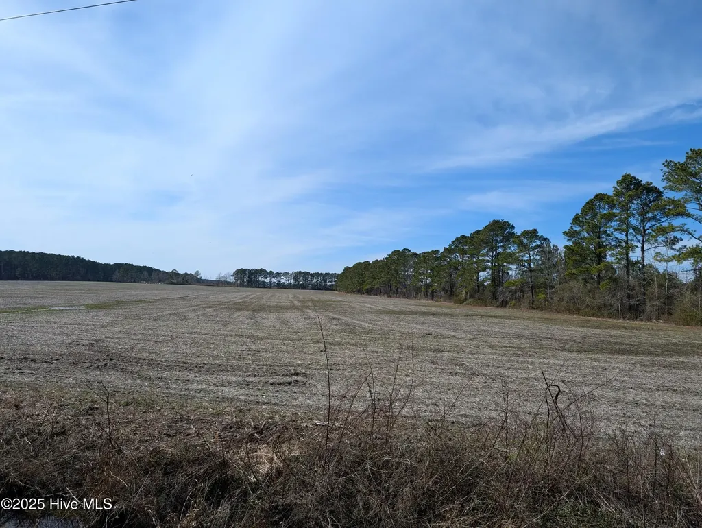 522 Plum Nearly Lane Trenton NC 28585