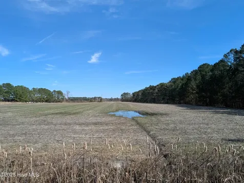 522 Plum Nearly Lane Trenton NC 28585