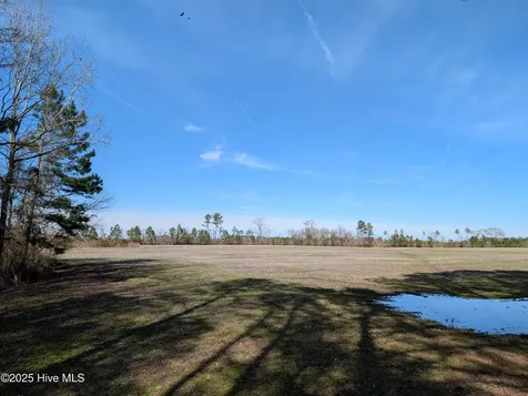 522 Plum Nearly Lane Trenton NC 28585