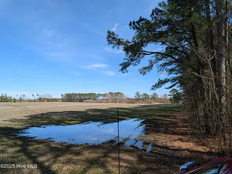 522 Plum Nearly Lane Trenton NC 28585