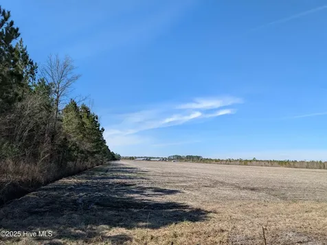 522 Plum Nearly Lane Trenton NC 28585