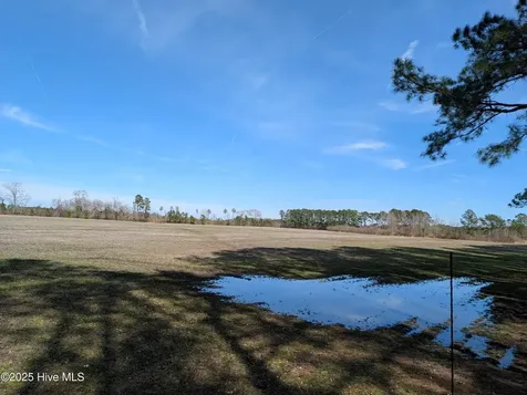522 Plum Nearly Lane Trenton NC 28585