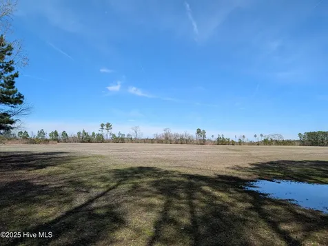522 Plum Nearly Lane Trenton NC 28585